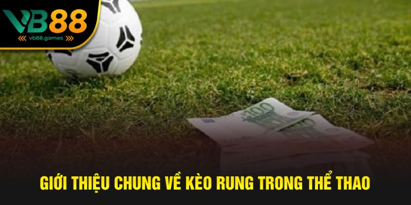 Bí Kíp Chơi Kèo Rung Chuẩn Xác Để Thắng Lớn Tại VB88 2 Giới thiệu về tỷ lệ kèo thể thao rung
